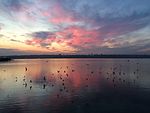 Lake Küçükçekmece at Golden Hour